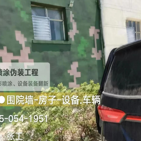 徐州数码迷彩漆施工